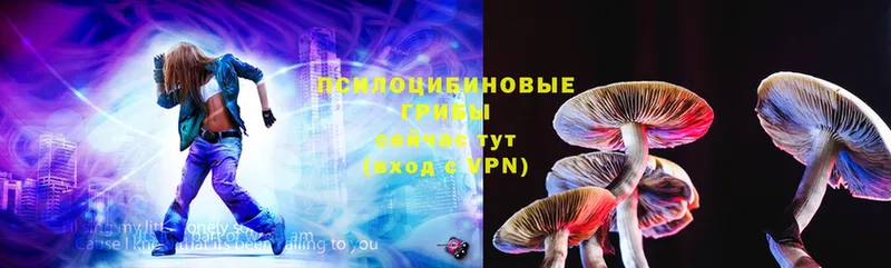 Галлюциногенные грибы Cubensis  Корсаков 